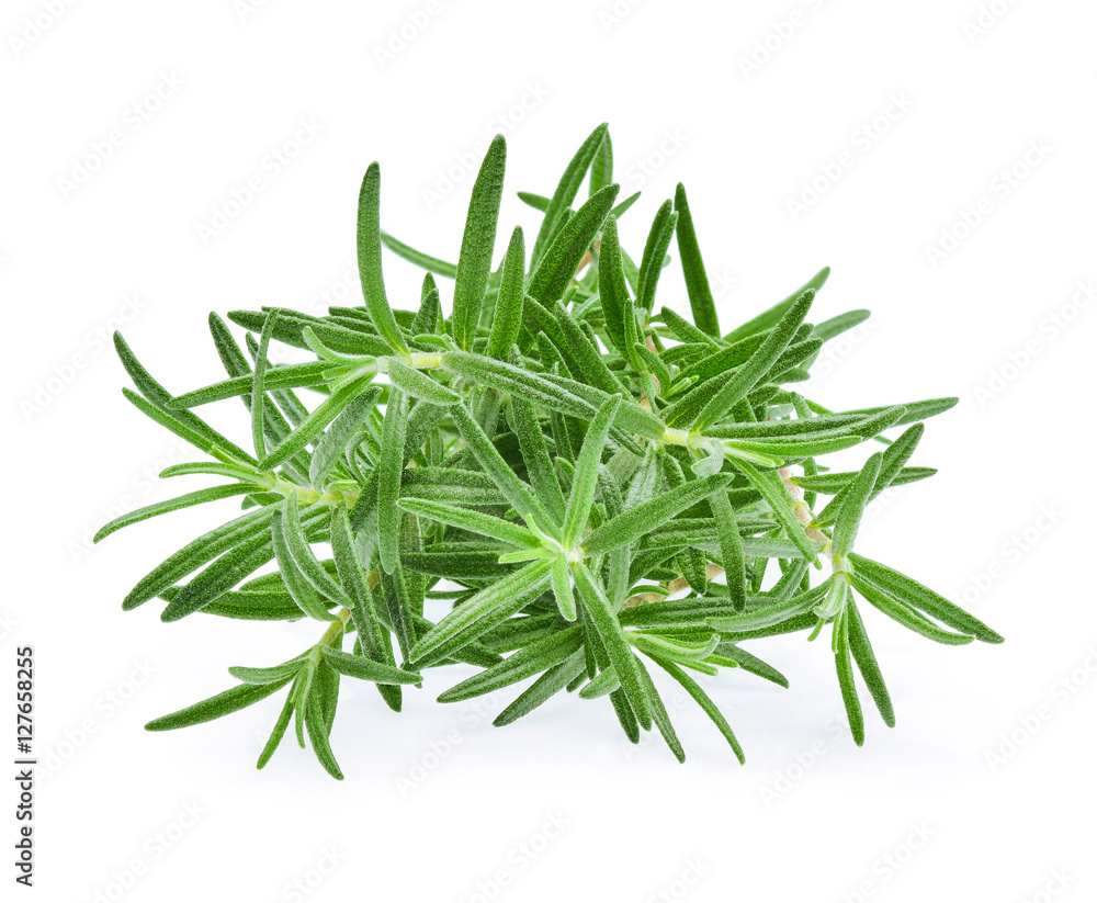 Rosemary, Pile of rosemary leaf isolated on white background Rosemary, Pile of rosemary leaf isolated on white background