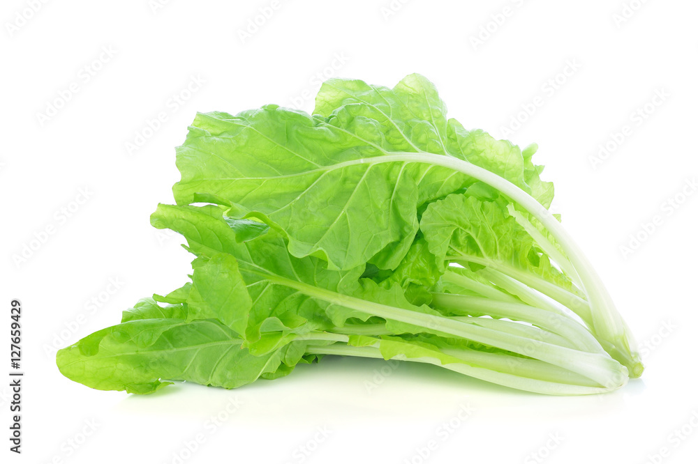 lettuce leaves isolated on white background lettuce leaves isolated on white background