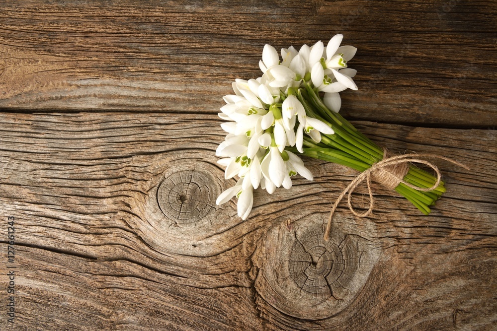 snowdrops bunch on wooden background snowdrops bunch on wooden background