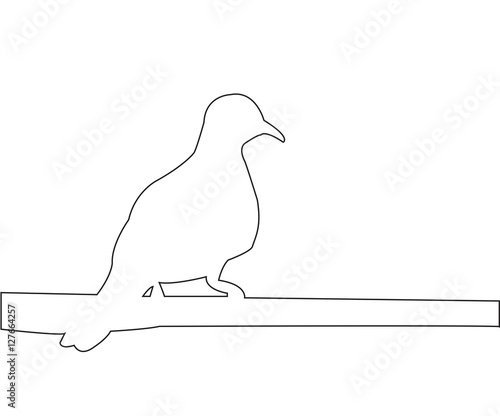 Pigeon sits on a pole path ...