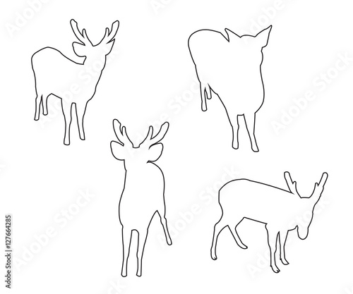 Deer Set Path on the white ...