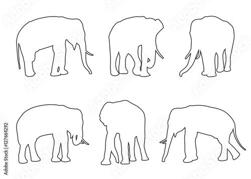 Elephant Set Path on the wh...