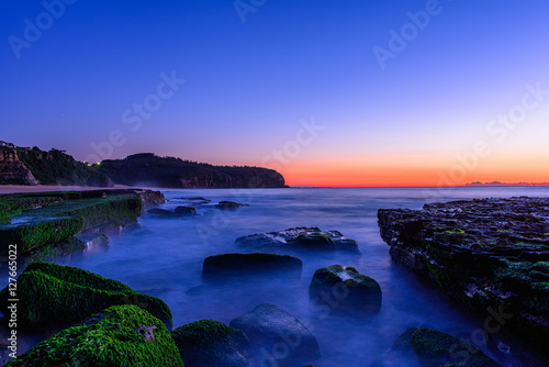 Stone with algae on Narrabeen Beach at sunrise in Sydney Australia