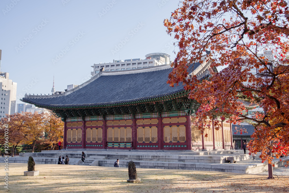 Nov 15, 2016 At Deoksugung Garden, Seoul , Korea Nov 15, 2016 At Deoksugung Garden, Seoul , Korea