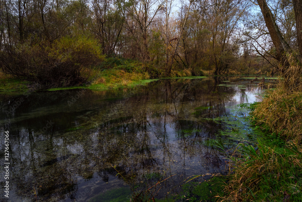 Ticino river view