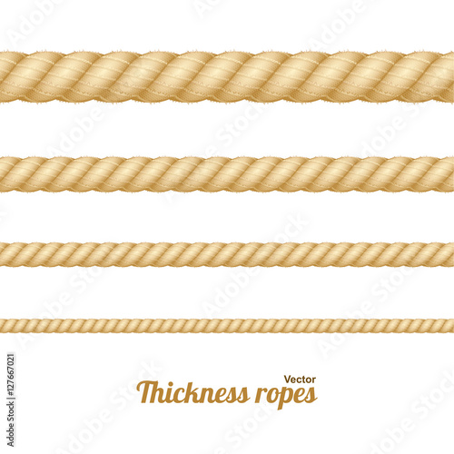 Different Thickness Rope Set. Vector