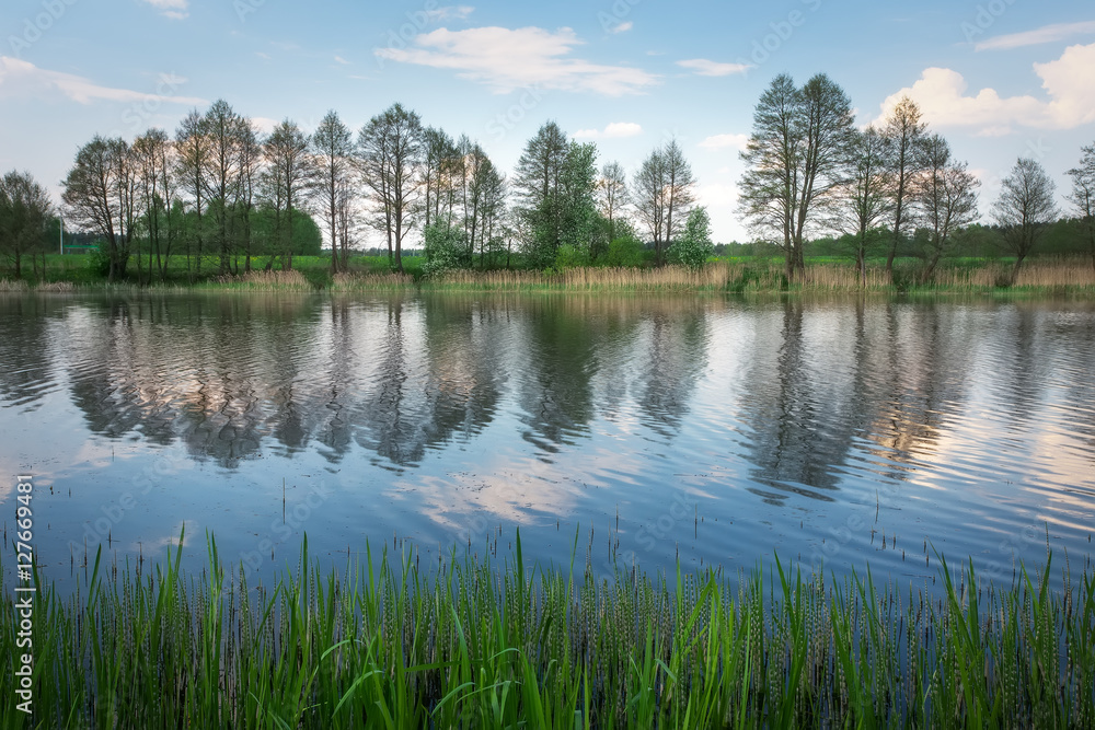 Fototapeta premium Beautiful spring landscape with river, trees and blue sky.