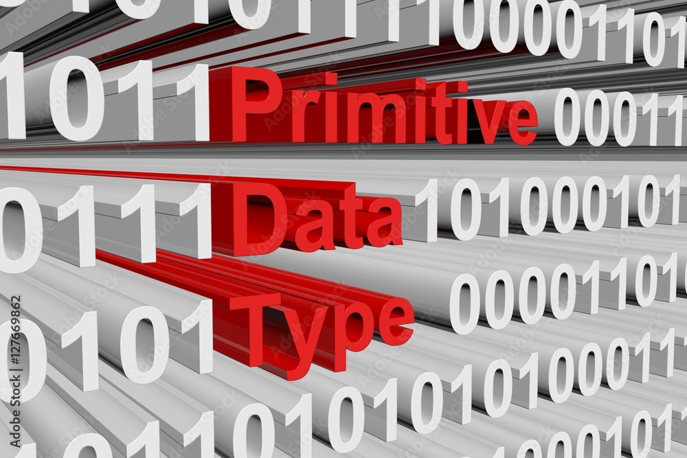 Primitive data type as binary code 3D illustration