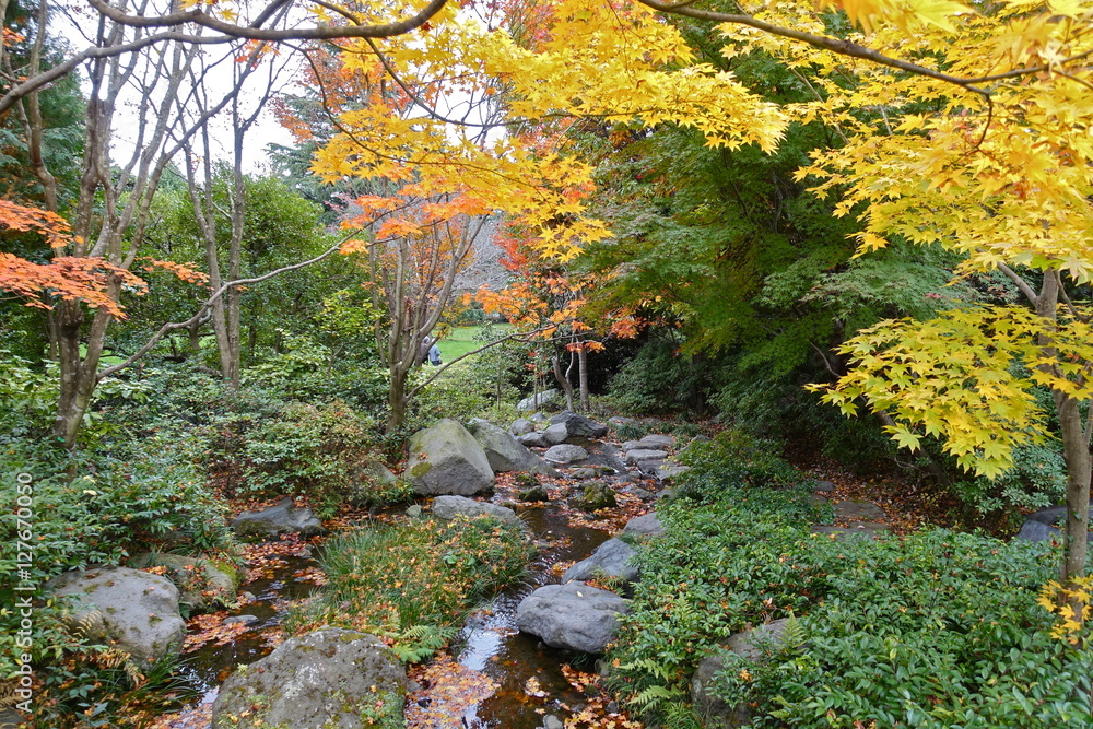 東京の紅葉、黄葉