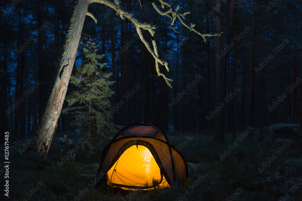 Naklejka Wild camping in wilderness in old forest