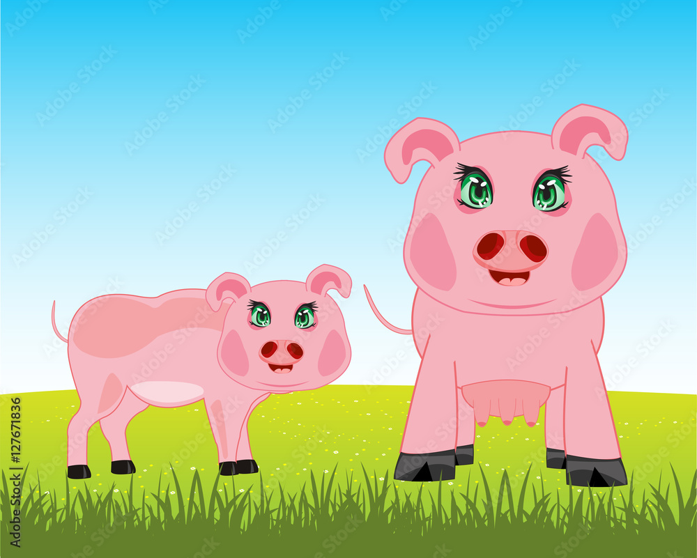 Obraz premium Pigs on meadow