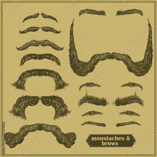  mustache and eyebrows