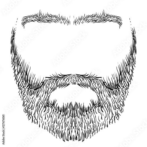 beard, mustache, eyebrows