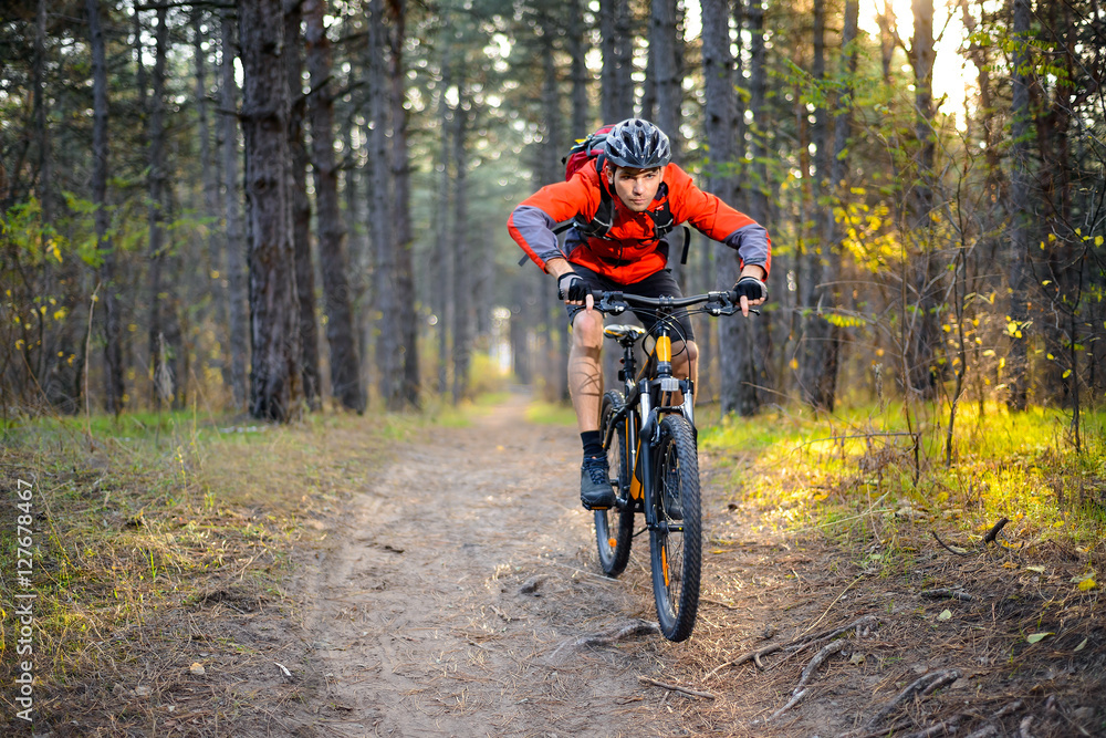 Fototapeta premium Cyclist Riding the Bike on the Trail in the Forest. Extreme Sport.