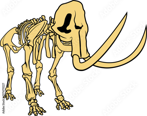 Vector prehistoric skeleton of mammoth on white background isolated illustration