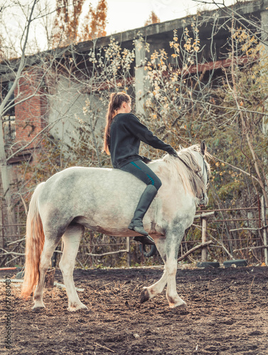Young beautiful brunette girl rides a horse bareback with hackamore. Warm and sunny autumn day. Portrait of a pretty young woman on the horse, wearing tall boots and gloves.