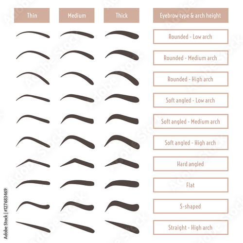 Eyebrow shapes. Various types of eyebrows. Classic type and other. Trimming. Vector illustration with different thickness of brows.  Set with captions. Makeup tips.
