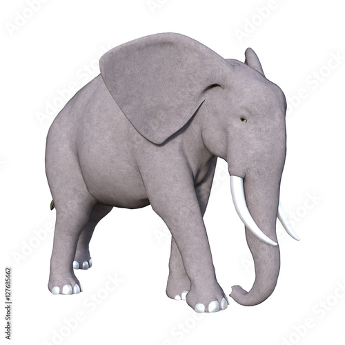 3D Rendering Elephant on White