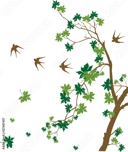 tree branches with birds