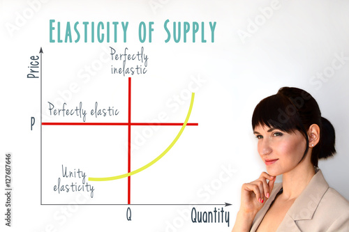 Εκτύπωση καμβά Price Elasticity of supply graph