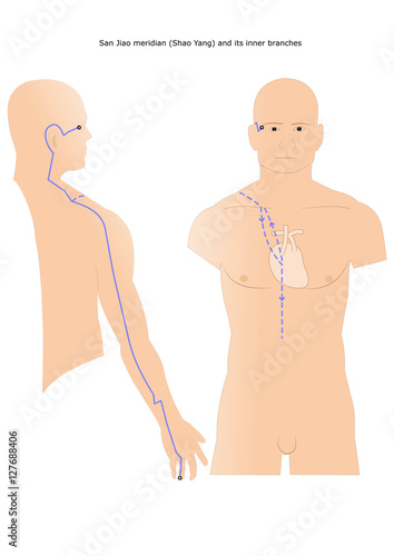 acupuncture: San Jiao meridian (Shao Yang) and its inner branches