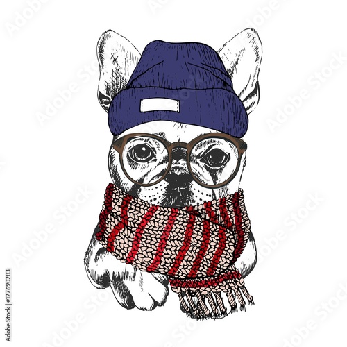 Vector hand drawn portrait of cozy winter dog. French bulldog wearing knitted scarf, beanie and hipster glasses.