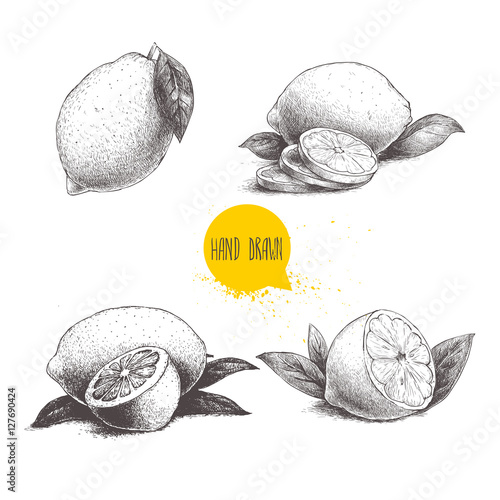 Hand drawn sketch style set of lemon fruit with leafs and sliced lemon. Retro vector illustration.