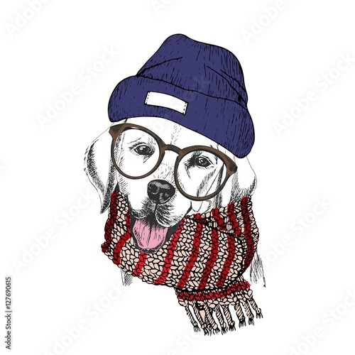 Vector hand drawn portrait of cozy winter dog. Labrador retriever wearing knitted scarf, beanie and hipster glasses. photo