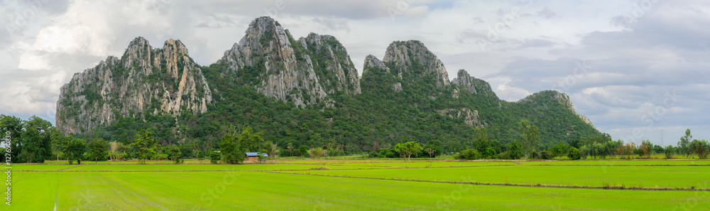Fototapeta premium Mountains and rice fields