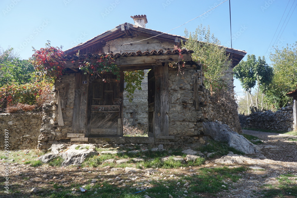 Naklejka premium Turkish village house
