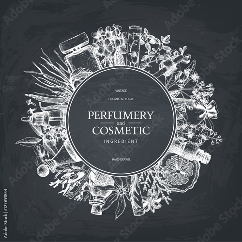 Vector design with hand drawn perfumery and cosmetics ingredients. Decorative background with vintage aromatic plants sketch on chalkboard