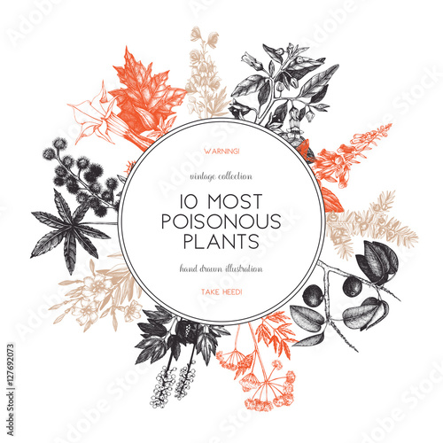 Vector frame design with hand drawn poisonous plants illustration. Vintage noxious plants sketch background. Botanical template with poisonous flowers isolated on white. photo