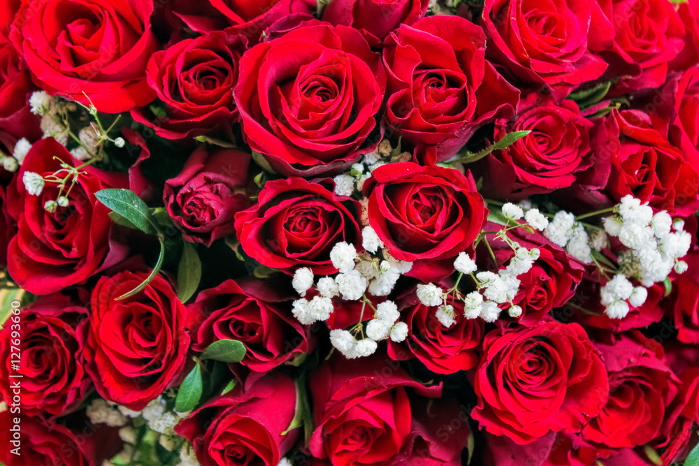 Obraz premium Glückwunschkarte