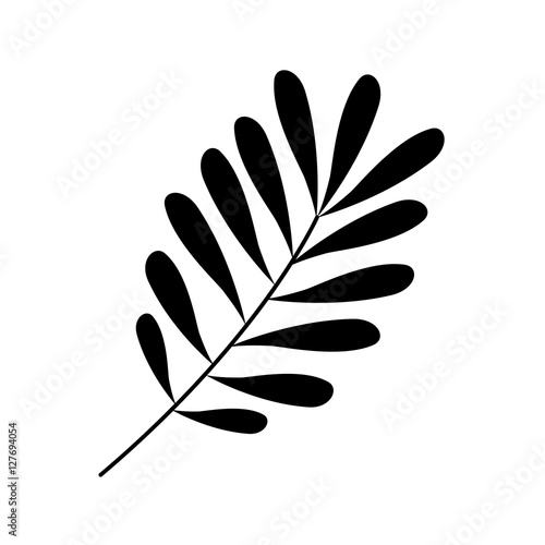 Black leaf Silhouette with ramifications vector illustration