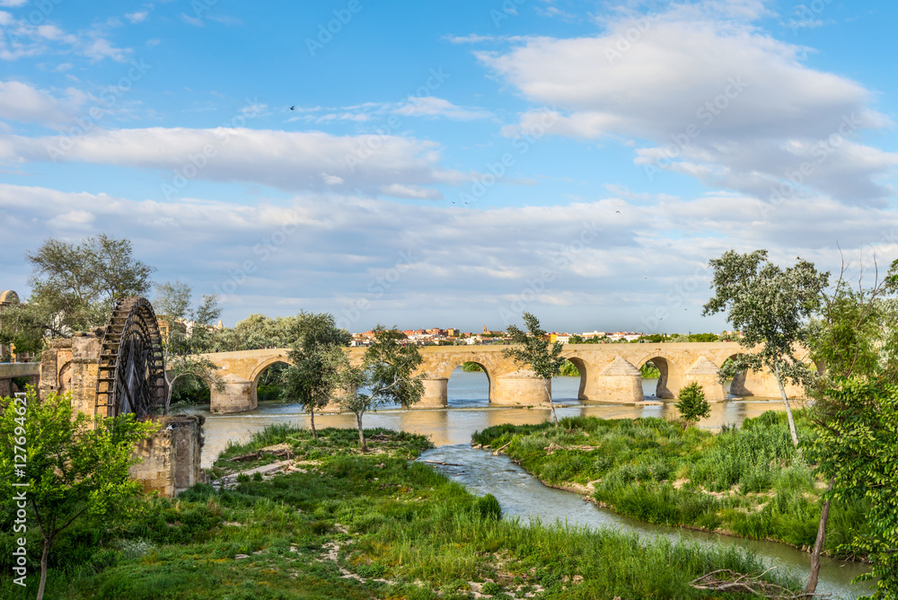 Ancient water mill and Roman Bridge - Cordoba