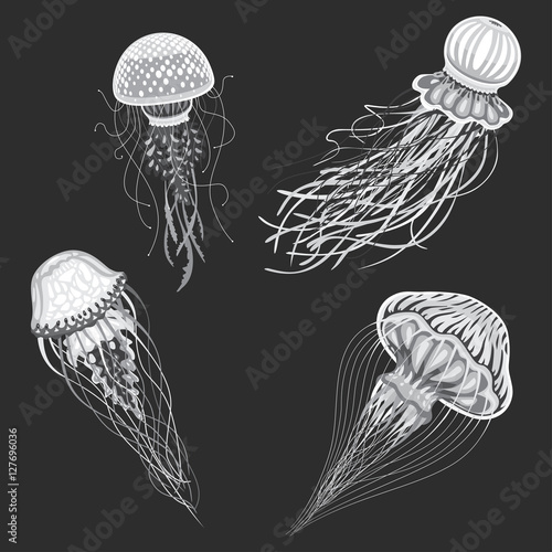 Jellyfish vector isolated cartoon set of icons