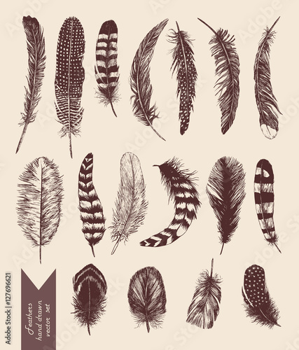Hand drawn vintage set with feathers. Vector.