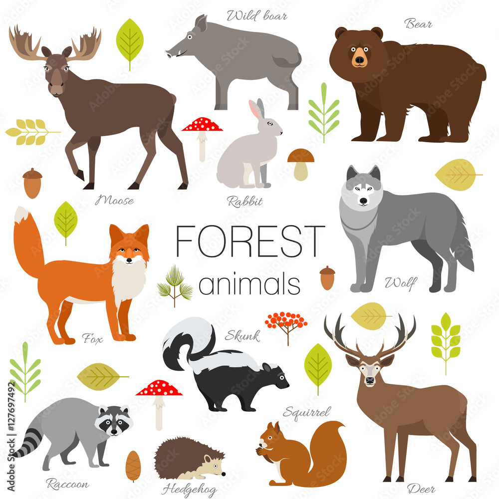Poster animals in the forest