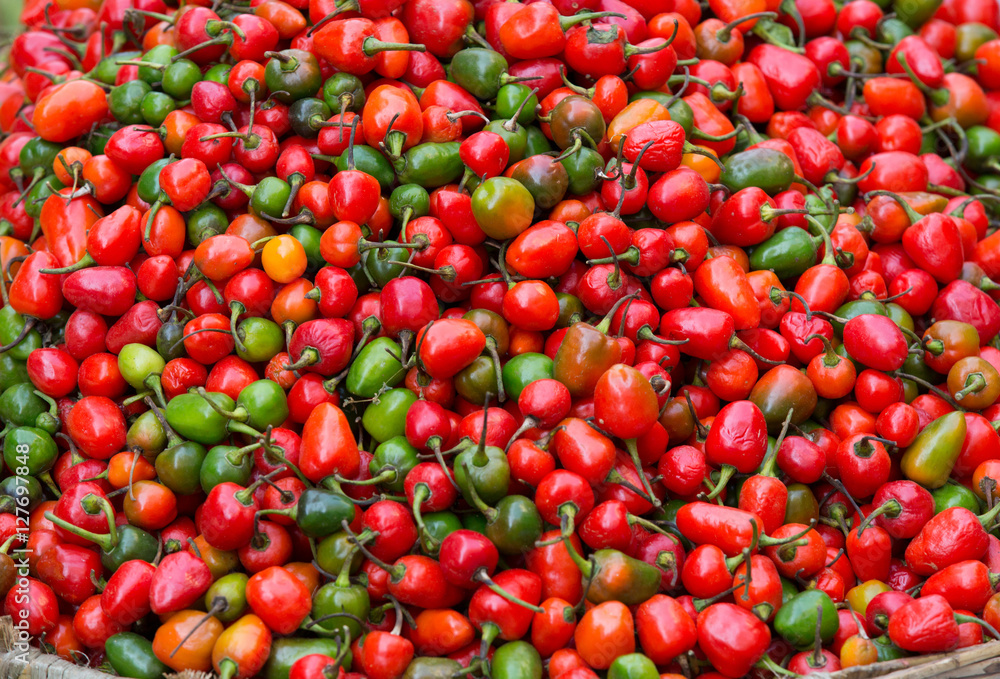 fresh red and green chili selling at the street shop fresh red and green chili selling at the street shop