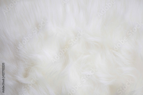 Artificial white fur texture