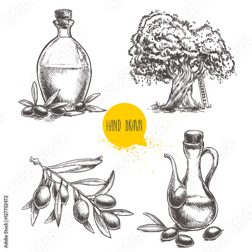 Hand drawn set of olive branch with olives, bottles with olive oil and olive tree. Sketch style vector organic food illustration.