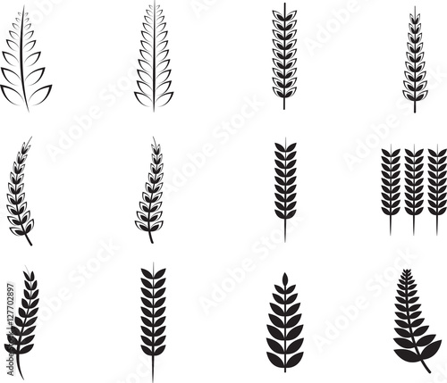 Various ferns icons
