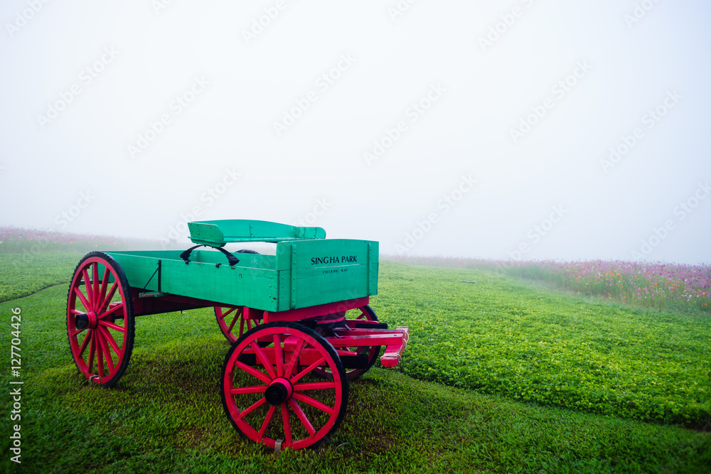 Carriage on a slope in the green beautiful garden daylight at Singha park, Chiangrai, Thailand. Carriage on Green field with white fog.