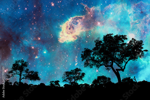 Night landscape with silhouette of trees and starry night