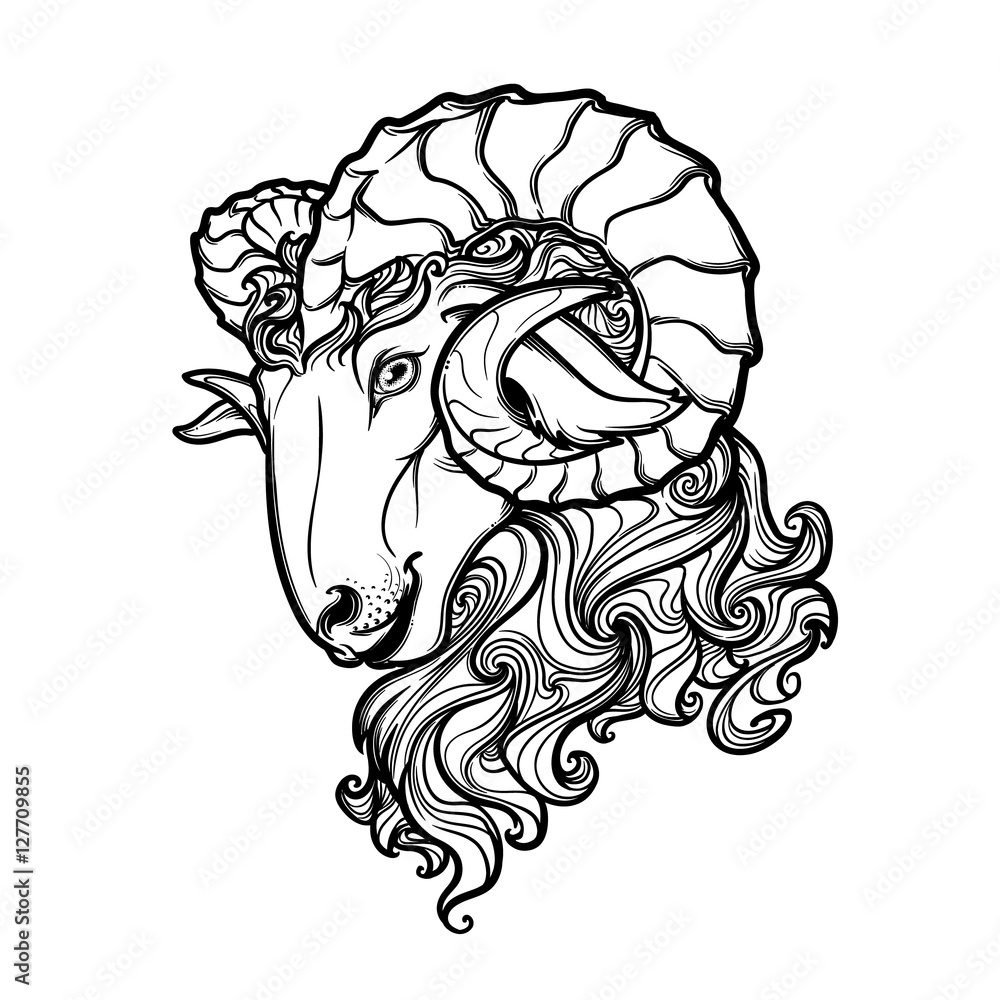 Side view of a ram head with big twisted horns. Intricate hand drawing.  Tattoo design. Black and white sketch isolated on white background. EPS10  vector illustration. Stock Vector | Adobe Stock