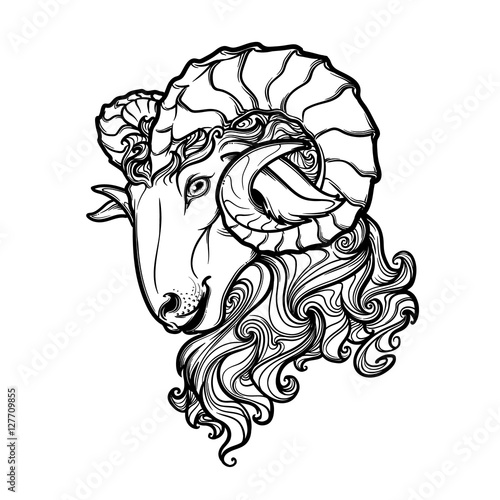 Side view of a ram head with big twisted horns. Intricate hand drawing. Tattoo design. Black and white sketch isolated on white background. EPS10 vector illustration.