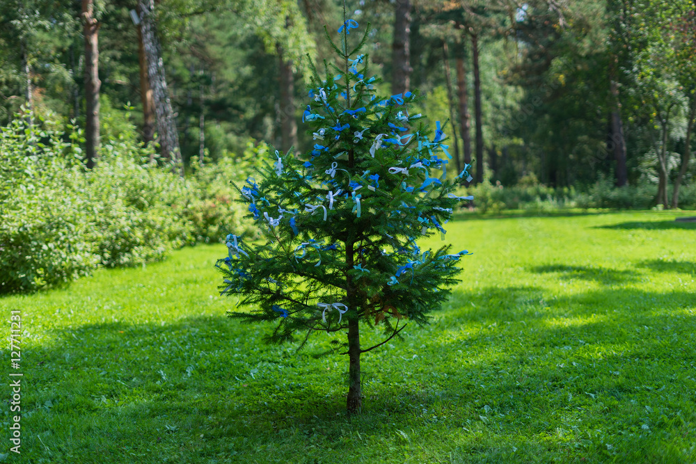 Obraz premium Tree with ribbons desires