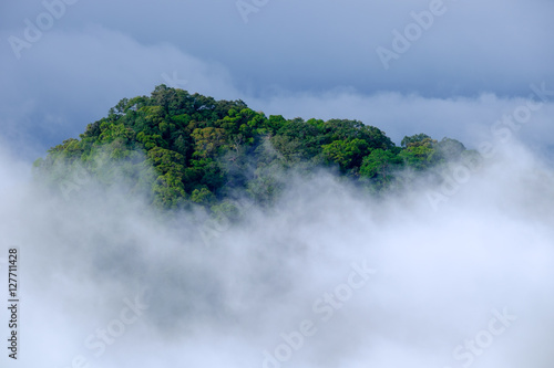 Mountain landscape with fog in morning. Krabi Province, Thailand