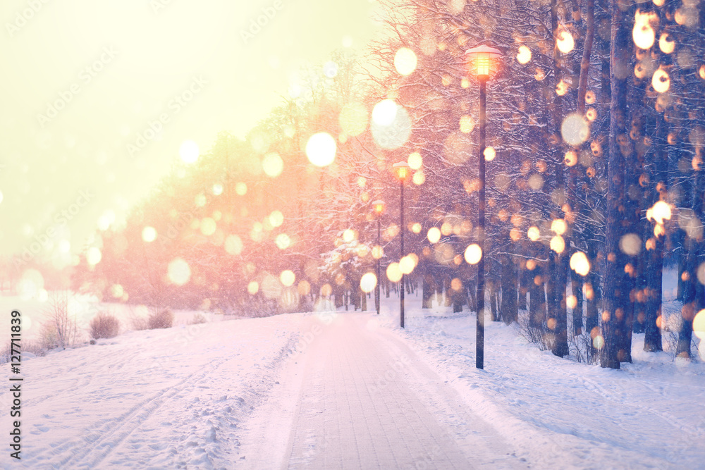 Naklejka premium Color snowflakes on winter park background. Snowfall in park.