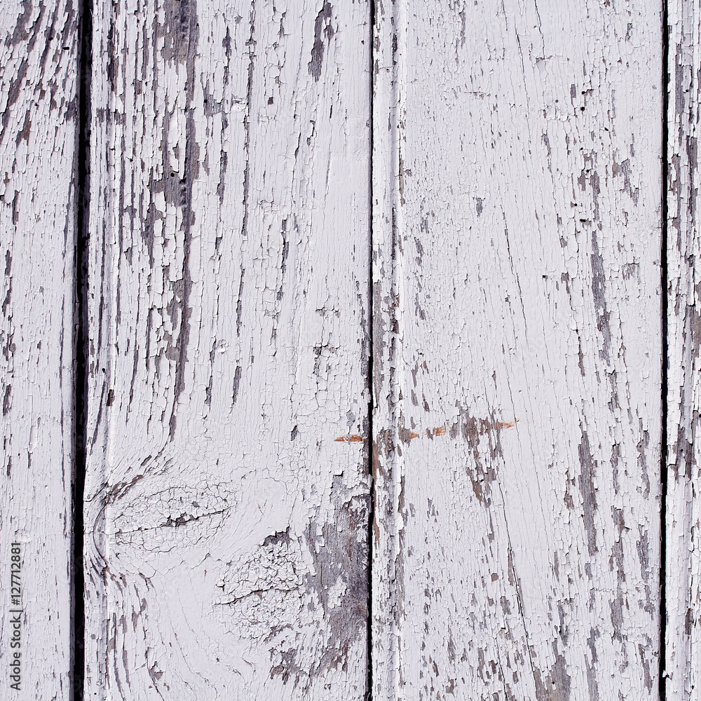 texture texture